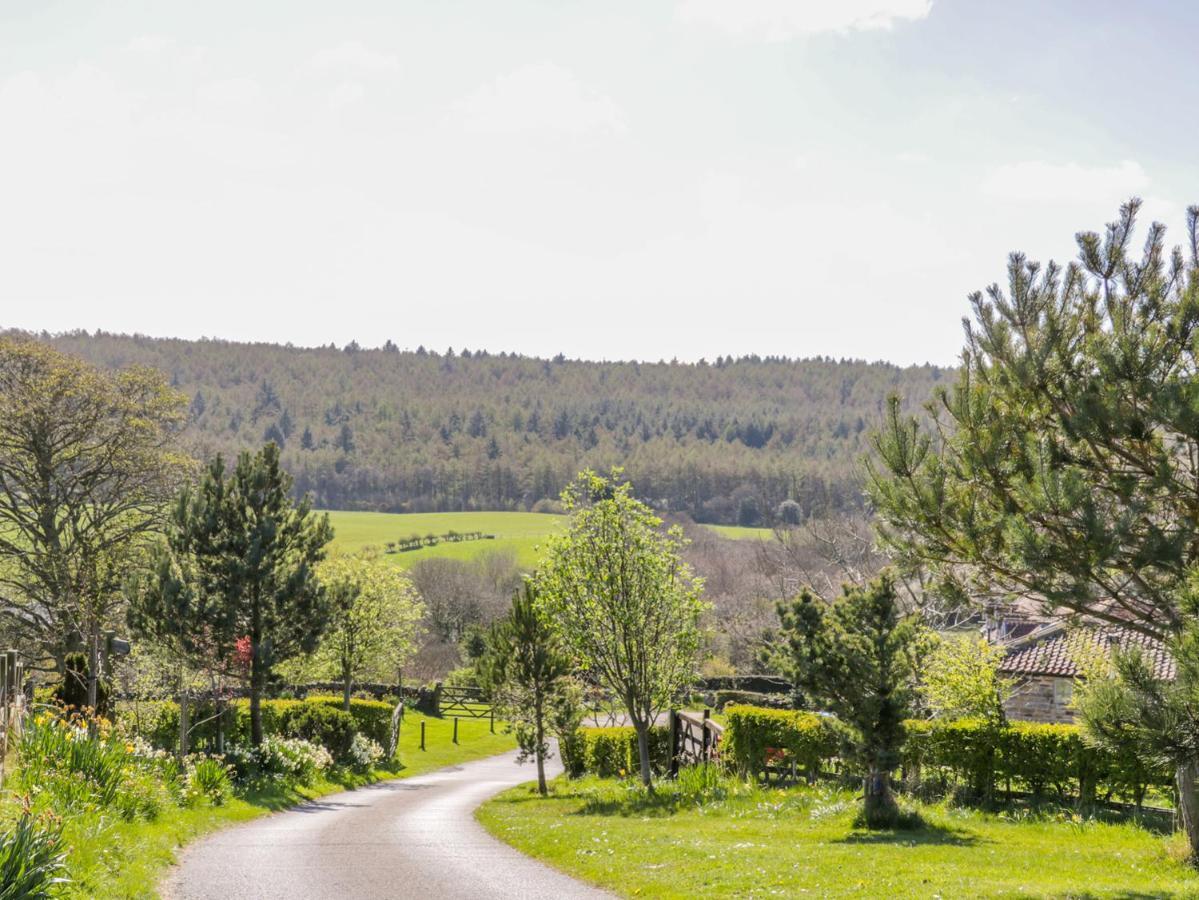 Honey Bee Cottage Σκάρμπορο Εξωτερικό φωτογραφία